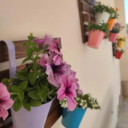 With Pool In The Mountains.